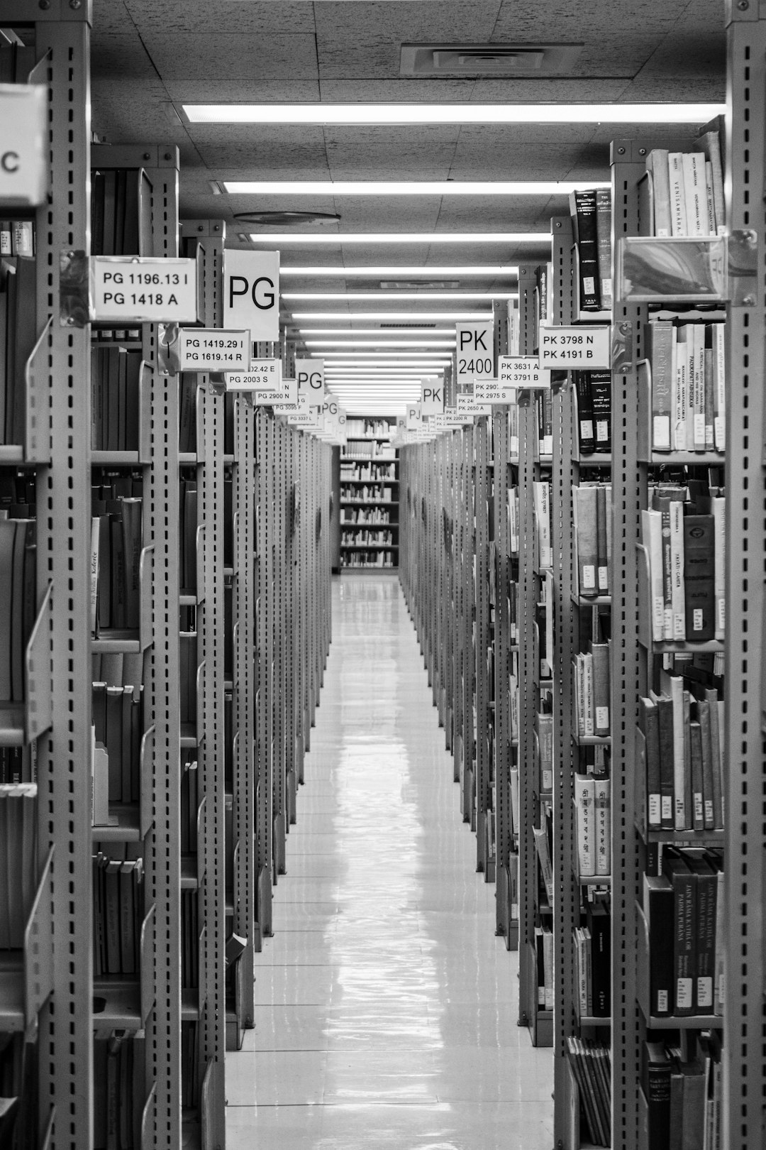 Unveiling the Truth: Real-life Cases of Public Archives Failing and How to Avoid Them