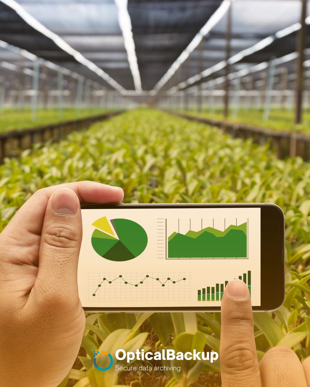 Revolutionizing Farm Traceability: Harnessing the Power of Optical Archives for Agricultural Data Preservation